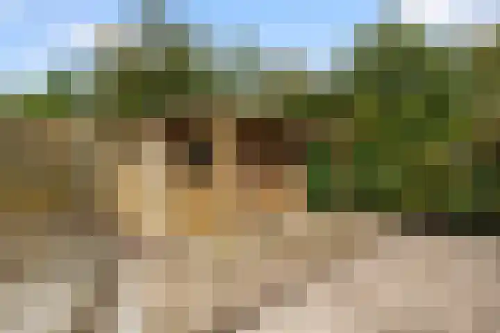 Kerkplein 6 Heinenoord thumbnail 29