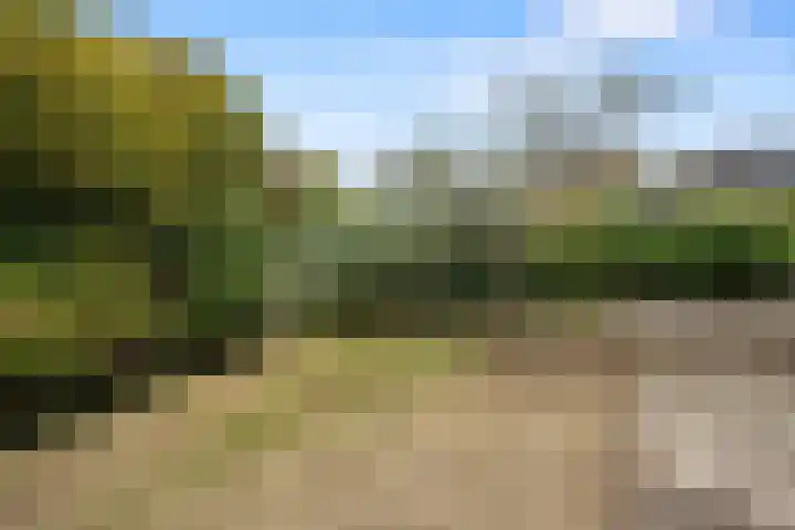 Kerkplein 6 Heinenoord thumbnail 30