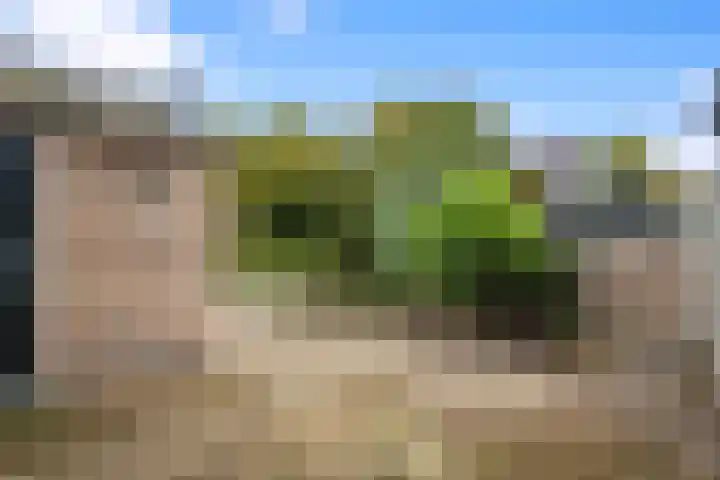 Kerkplein 6 Heinenoord thumbnail 33