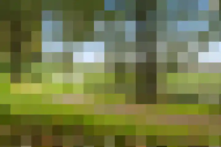 Kerkplein 6 Heinenoord thumbnail 37