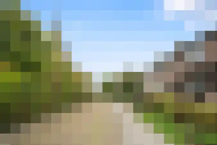 Kerkplein 6 Heinenoord thumbnail 5
