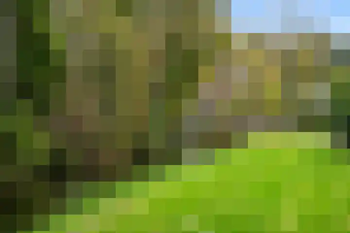 Kerkplein 6 Heinenoord thumbnail 6