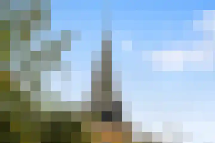 Kerkplein 6 Heinenoord thumbnail 7