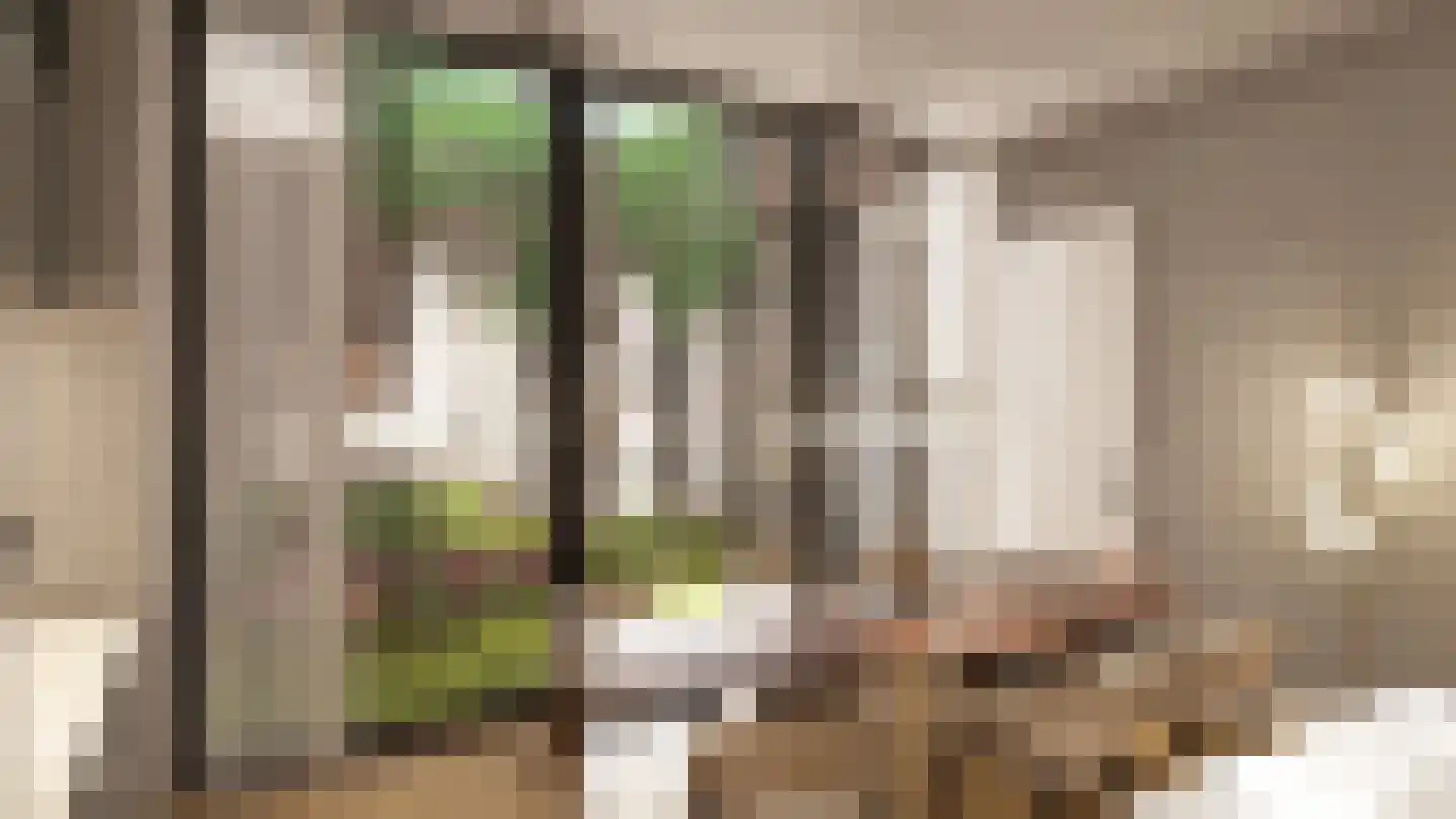 Kerkplein 63 Voerendaal thumbnail 5