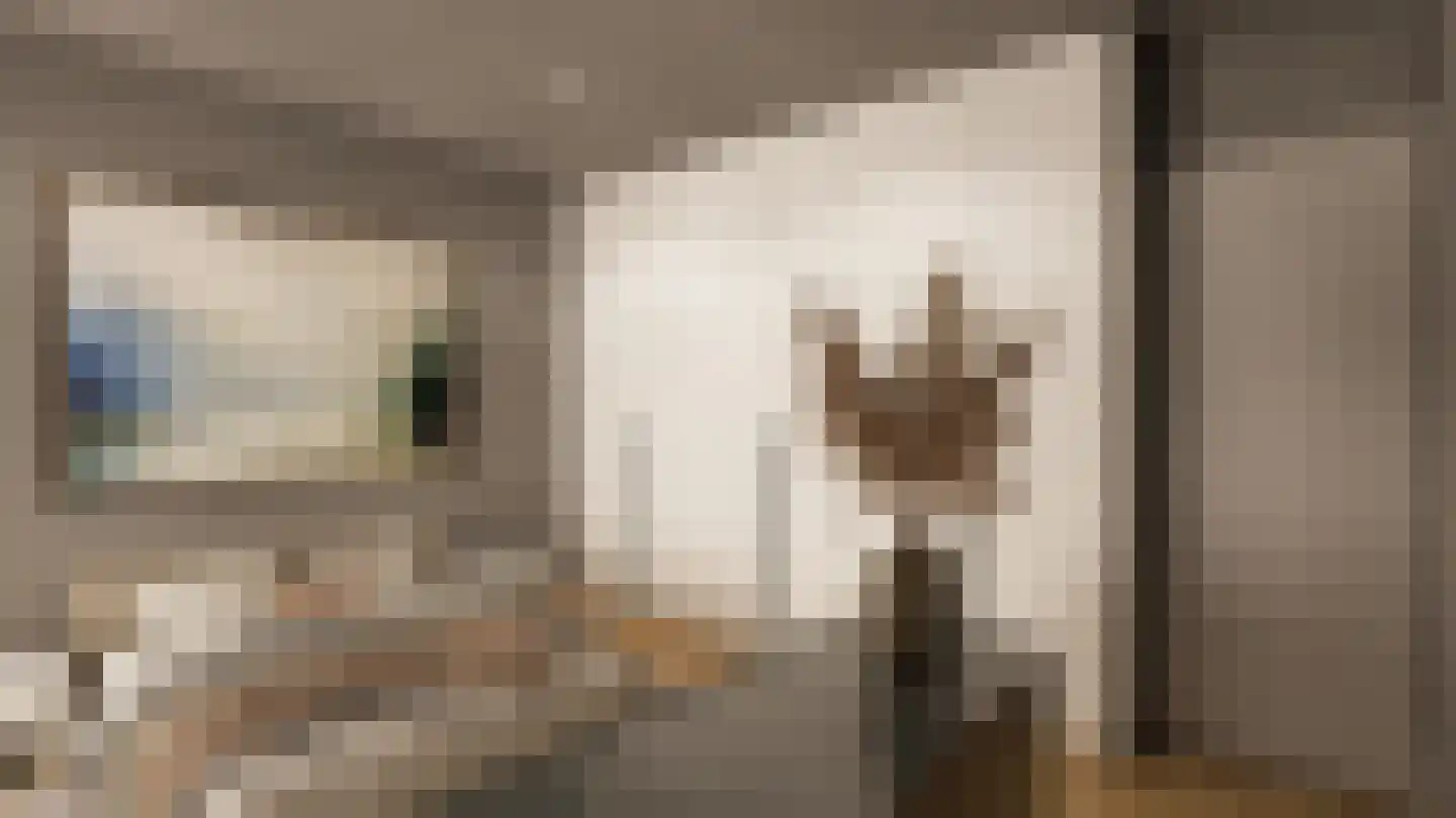 Kerkplein 63 Voerendaal thumbnail 7