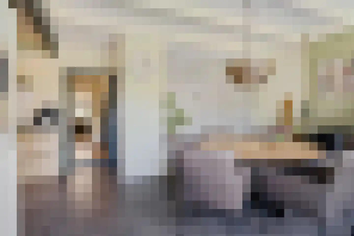 Kerkplein 7 Grijpskerk thumbnail 10
