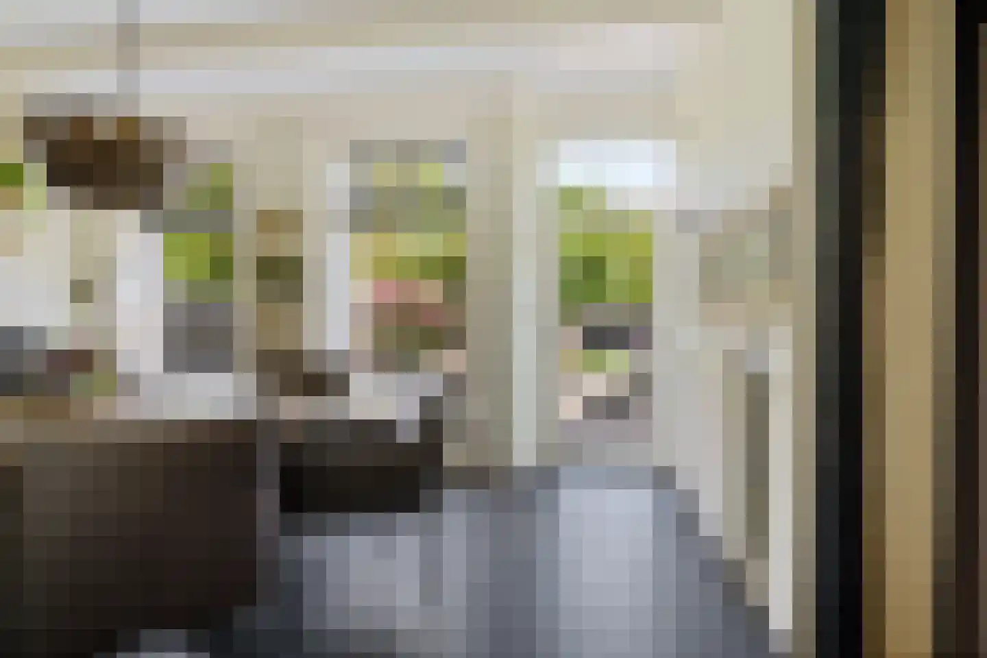 Kerkplein 7 Grijpskerk thumbnail 12