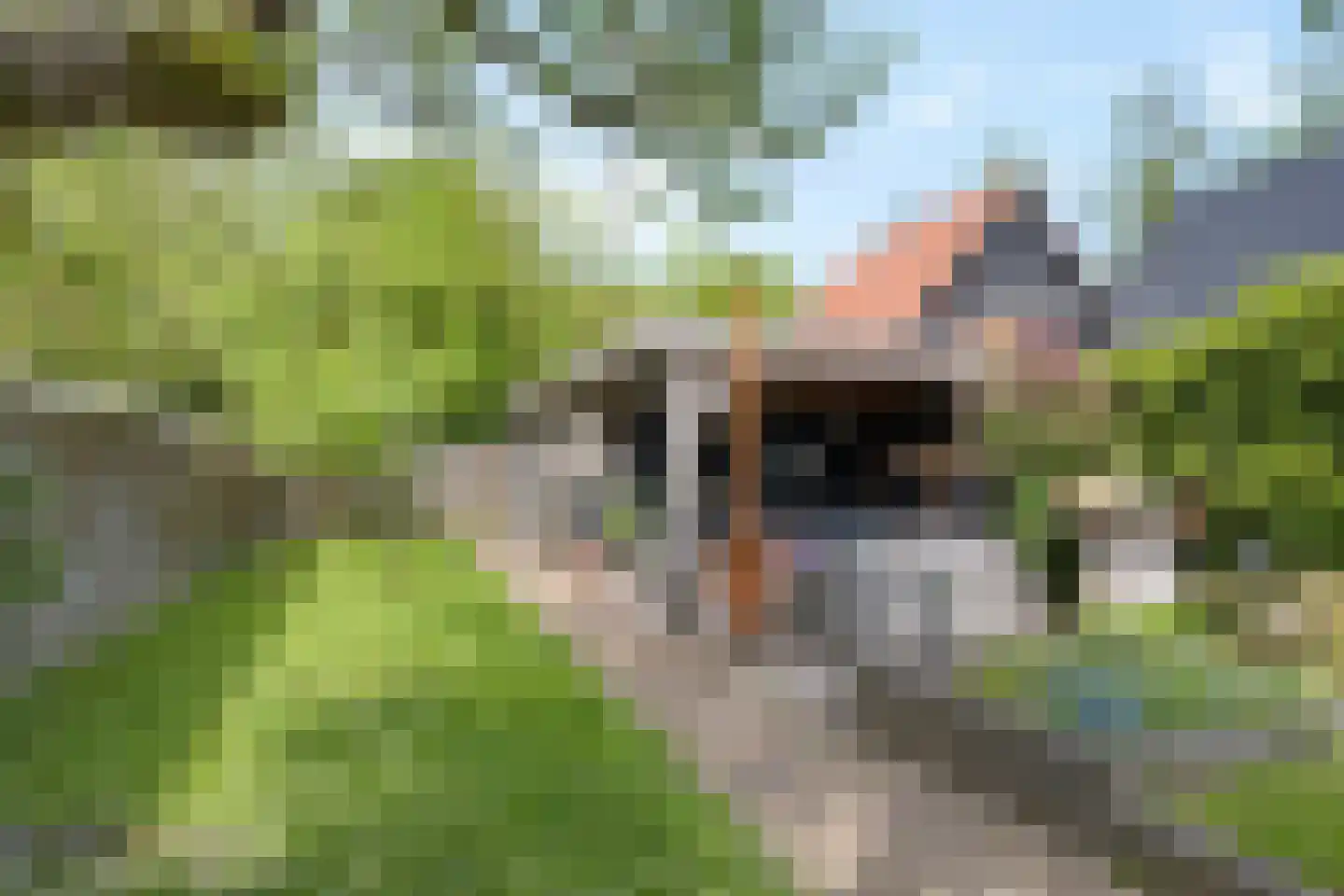 Kerkplein 7 Grijpskerk thumbnail 32