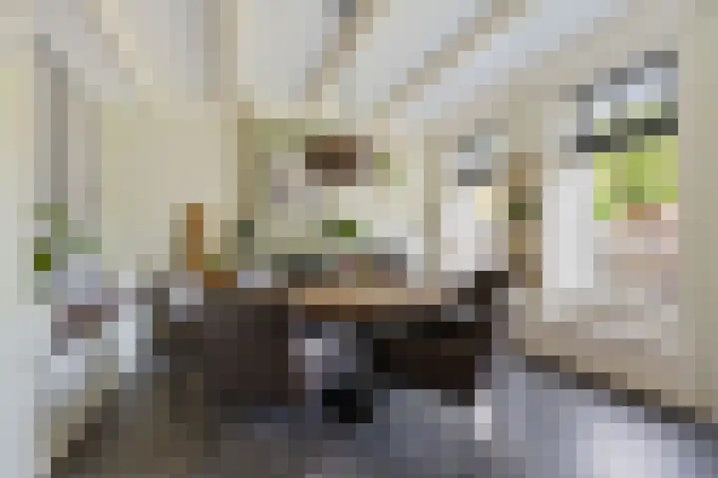 Kerkplein 7 Grijpskerk thumbnail 4