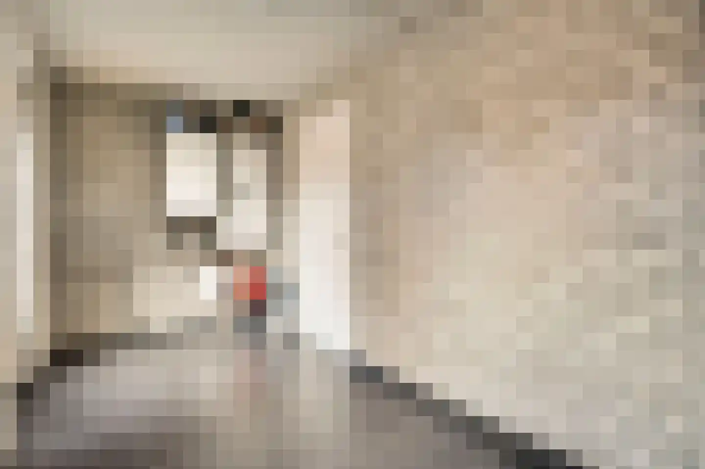 Kerkplein 8 b Neer thumbnail 14