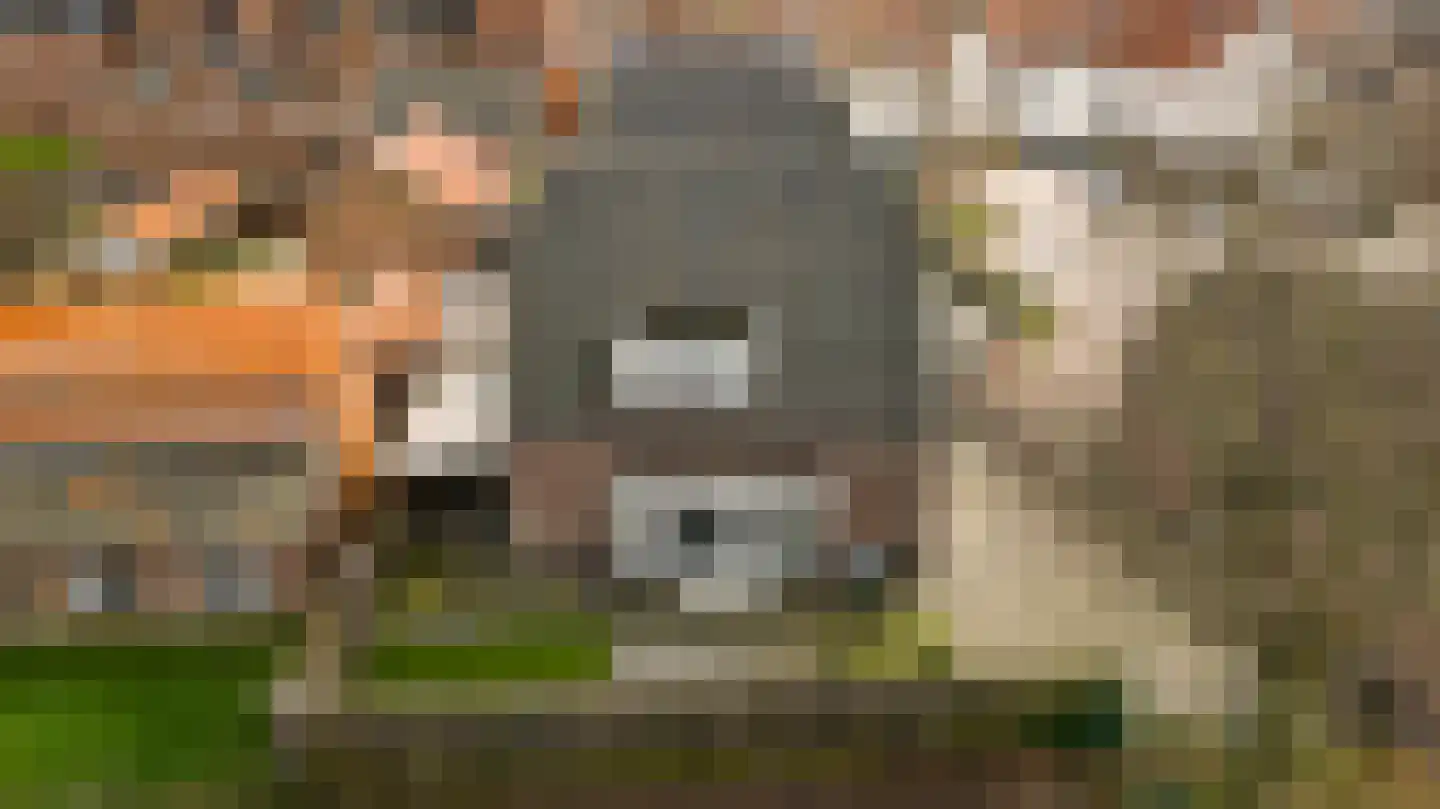 Kerkplein 8 b Neer thumbnail 33