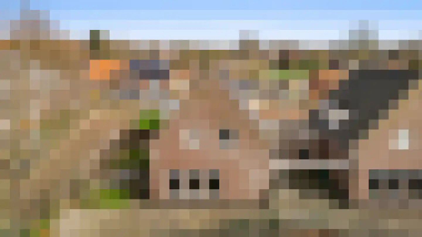 Kerkplein 8 b Neer thumbnail 39