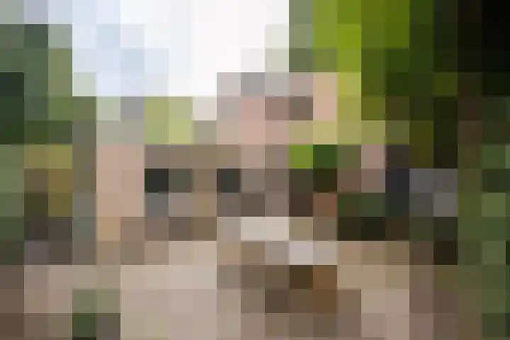 Kerkplein 8 Bloemendaal thumbnail 13