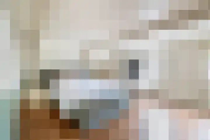 Kerkplein 8 Krommenie thumbnail 19