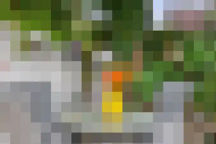 Kerkplein 8 Krommenie thumbnail 34