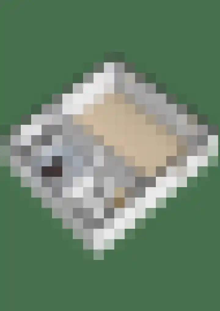 Kerkplein 8 Krommenie thumbnail 39