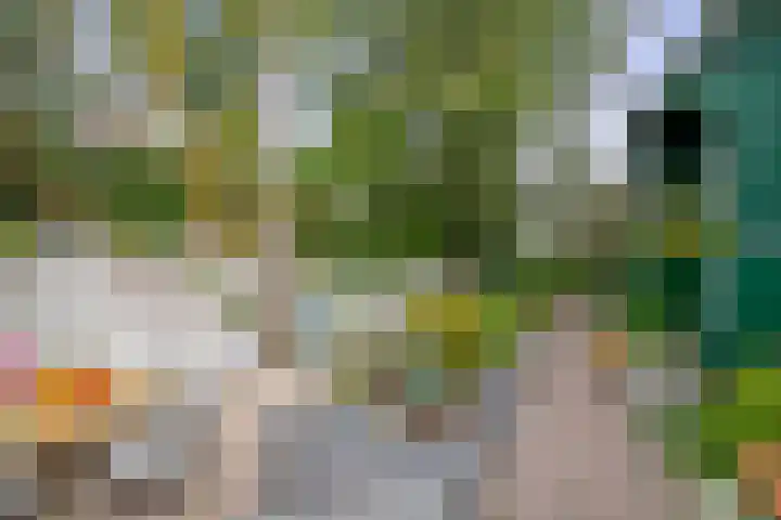 Kerkplein 8 Krommenie thumbnail 4