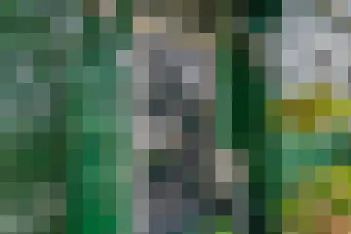 Kerkplein 8 Krommenie thumbnail 7