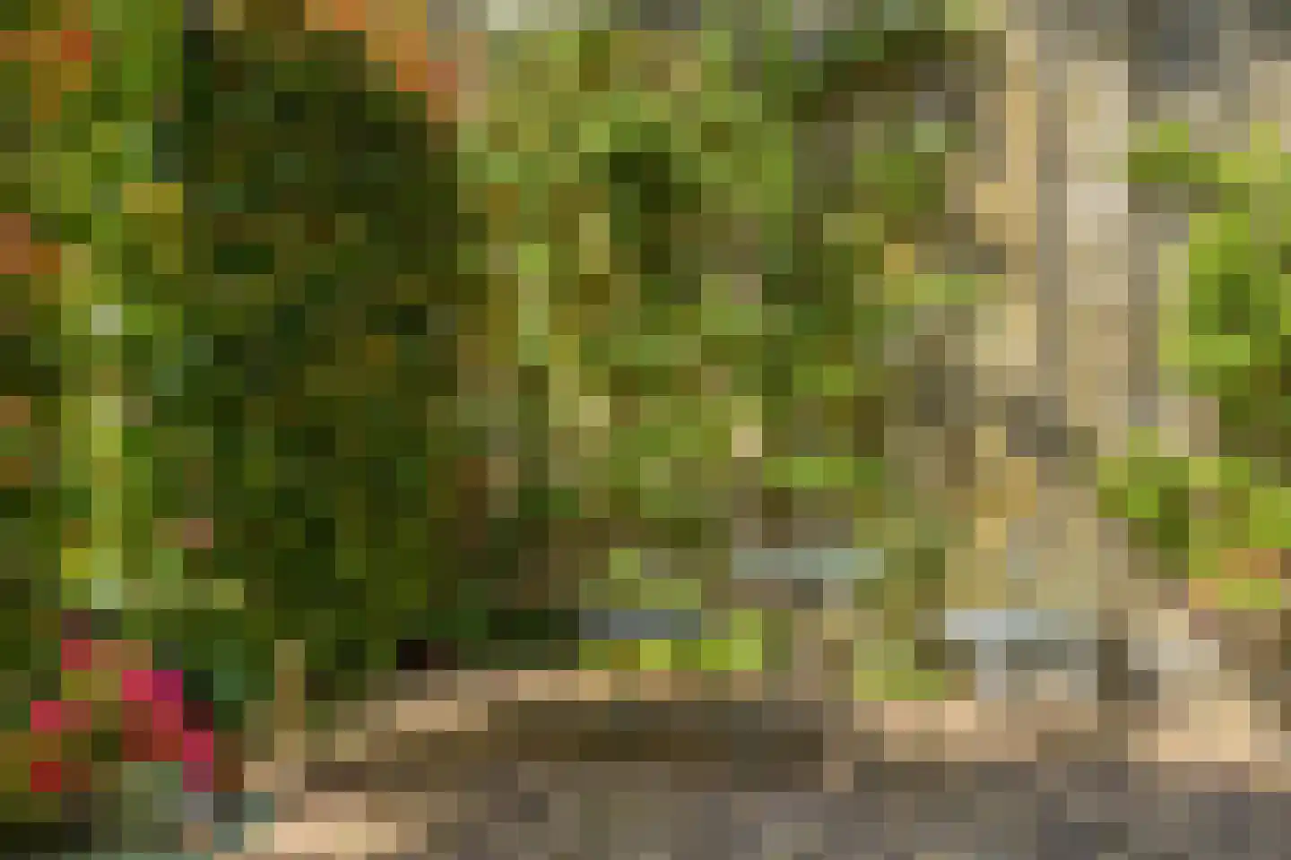 Kerkplein 9 Zaltbommel thumbnail 32