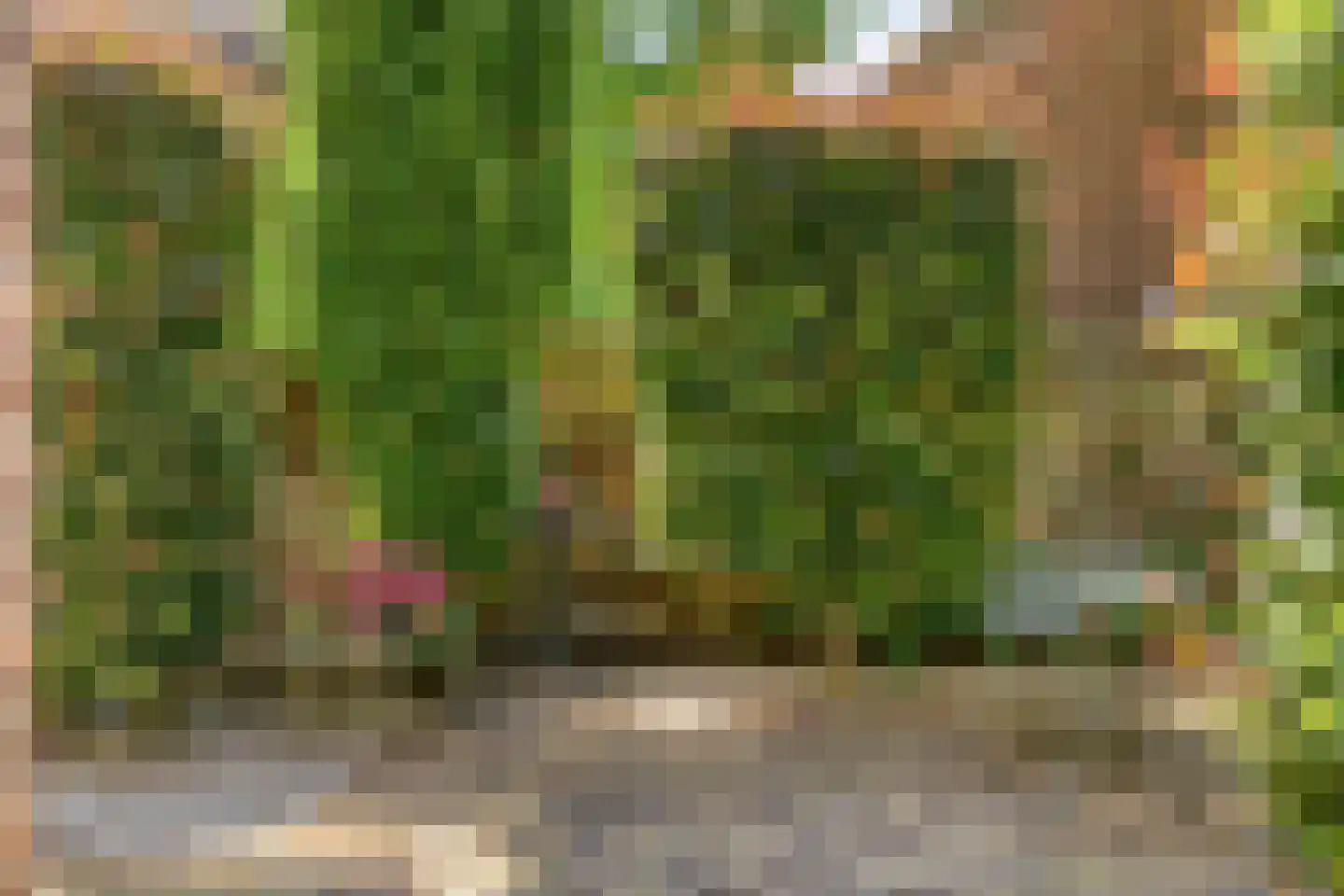 Kerkplein 9 Zaltbommel thumbnail 33
