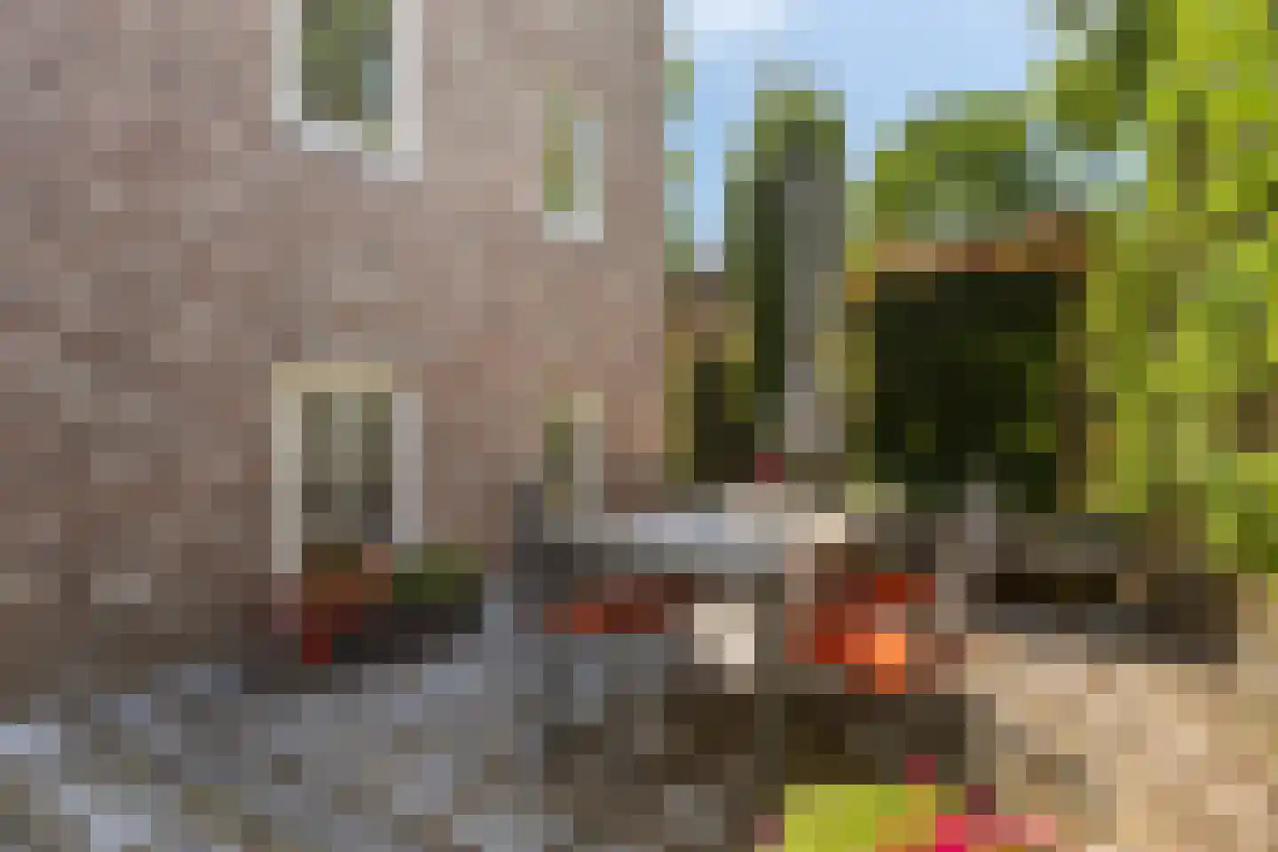 Kerkplein 9 Zaltbommel thumbnail 35