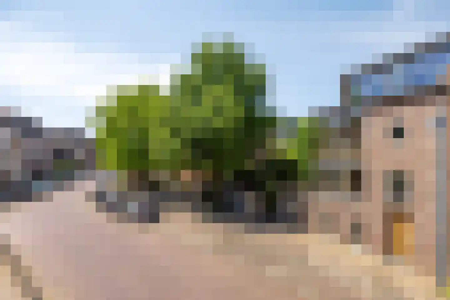 Kerkplein 9 Zaltbommel thumbnail 39