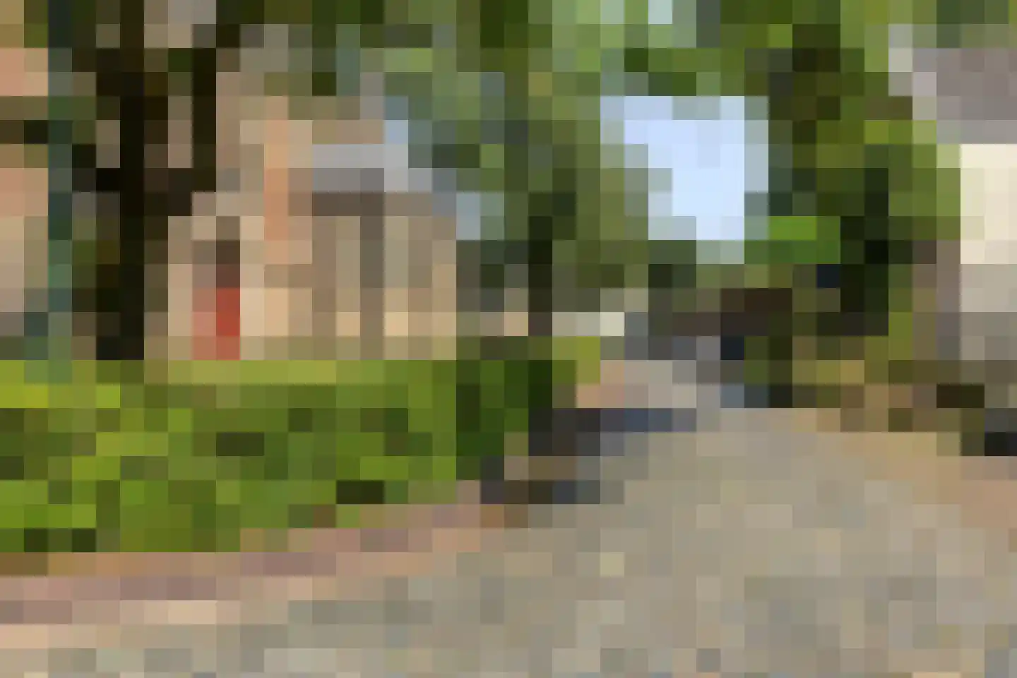 Kerkplein 9 Zaltbommel thumbnail 41