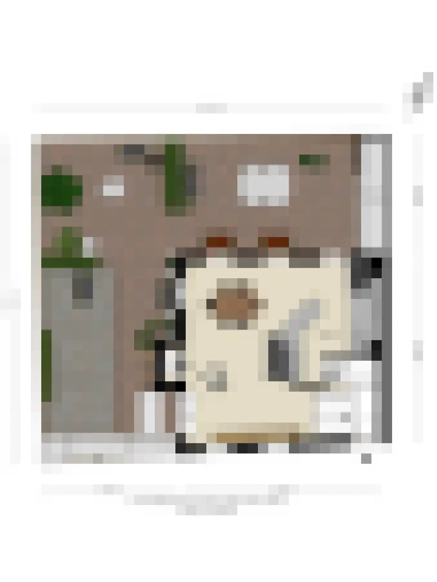 Kerkplein 9 Zaltbommel thumbnail 42