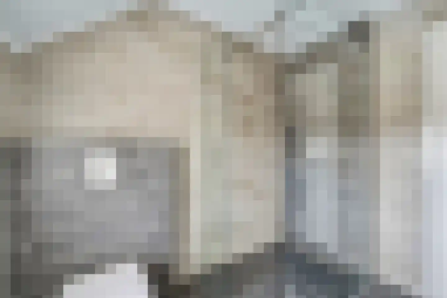 Kerkpolder 36 Krabbendijke thumbnail 24