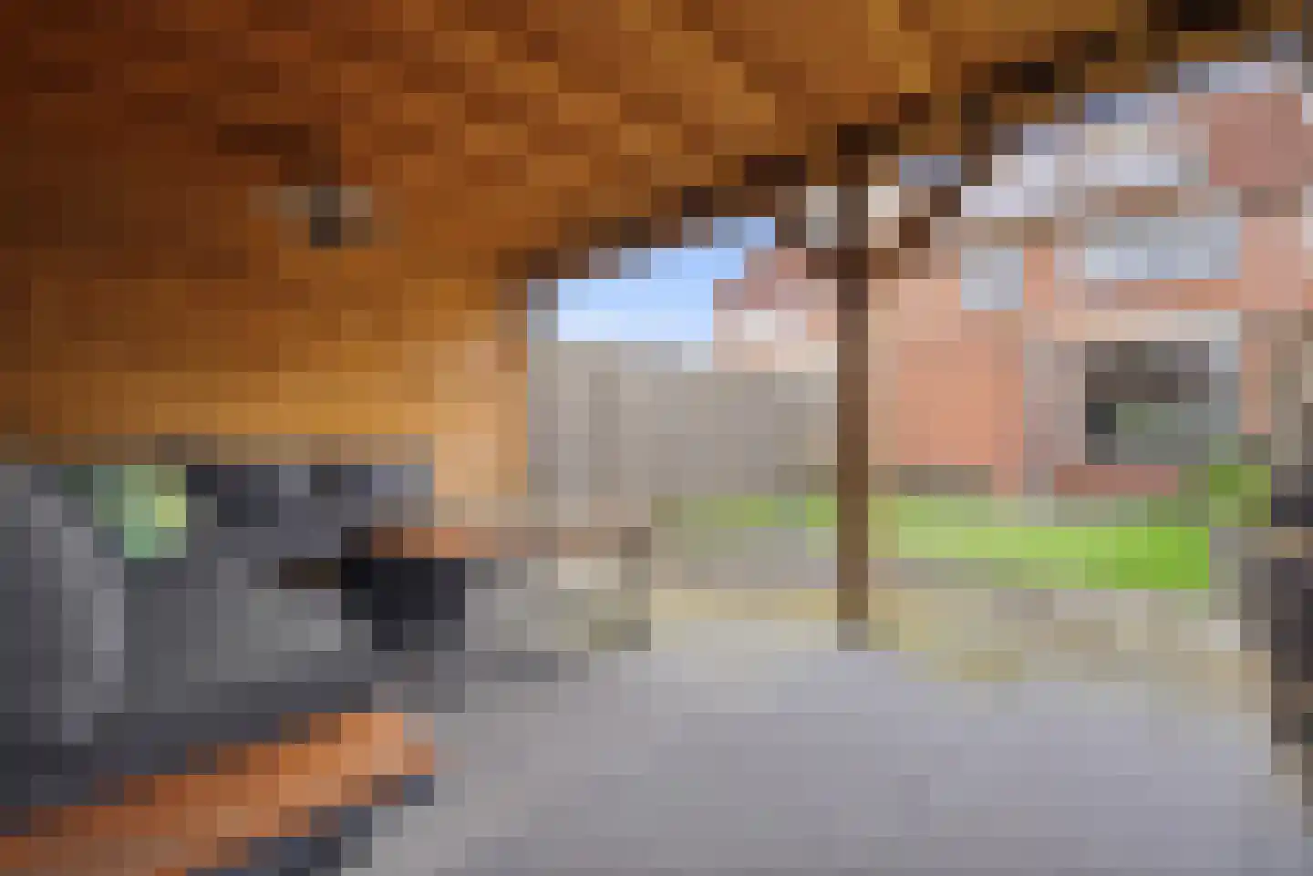 Kerkpolder 36 Krabbendijke thumbnail 31