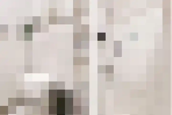 Kerkraderstraat 1 G Eygelshoven thumbnail 22