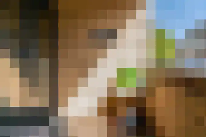 Kerkraderstraat 1 G Eygelshoven thumbnail 26