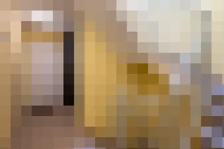 Kerkraderstraat 1 G Eygelshoven thumbnail 4