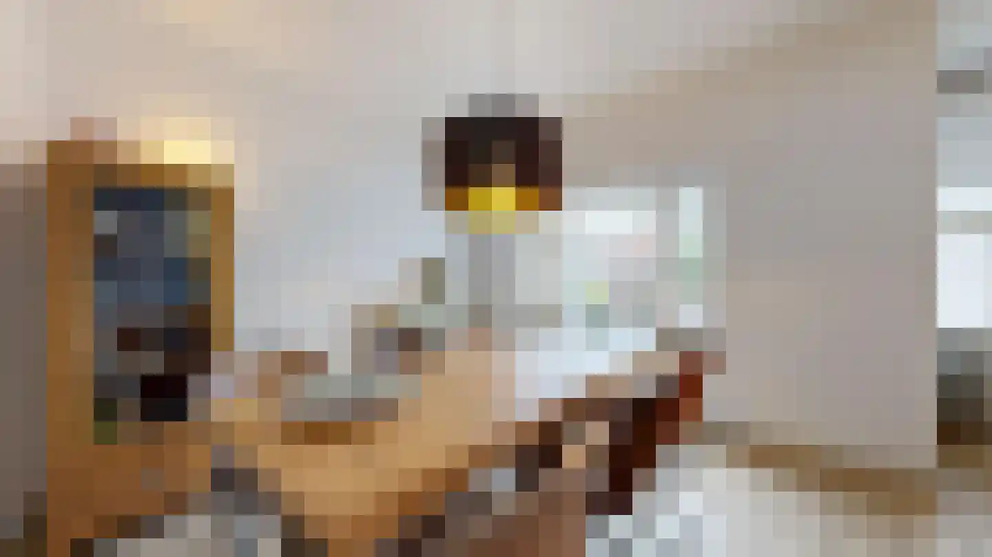 Kerkraderstraat 19 Eygelshoven thumbnail 10