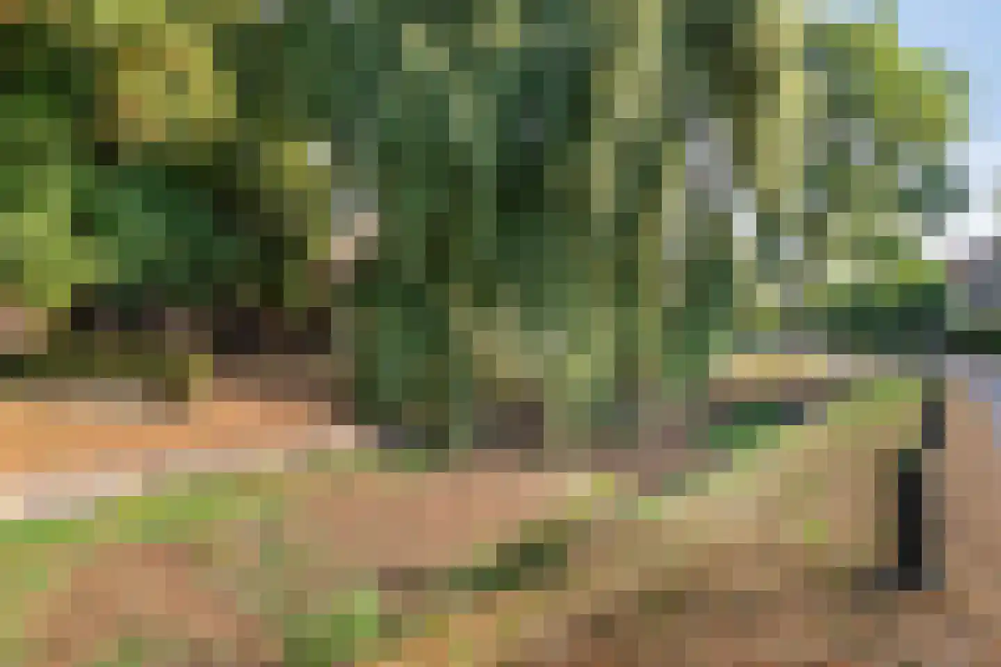 Kerkring 10 's-Heer Abtskerke thumbnail 22