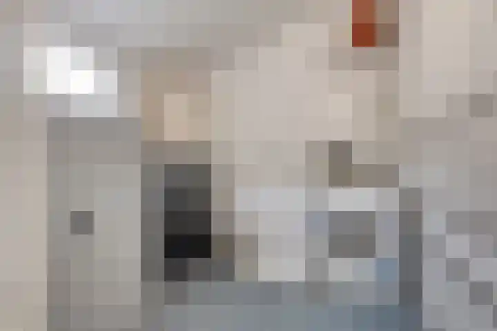 Kerkring 15 's-Heer Abtskerke thumbnail 20