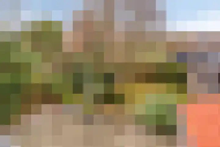 Kerkring 15 's-Heer Abtskerke thumbnail 31