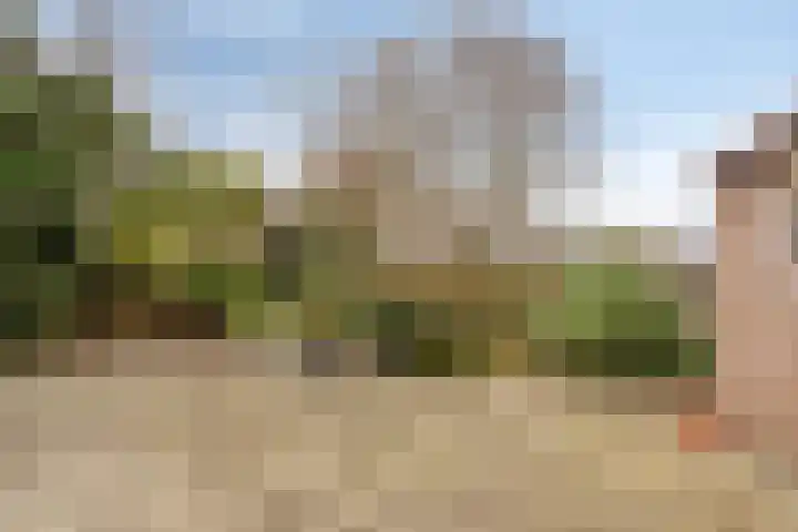 Kerkring 15 's-Heer Abtskerke thumbnail 33