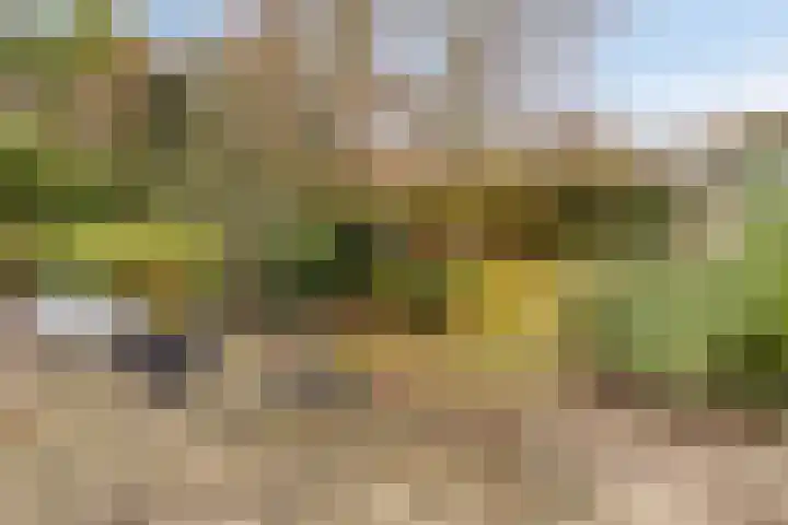 Kerkring 15 's-Heer Abtskerke thumbnail 34