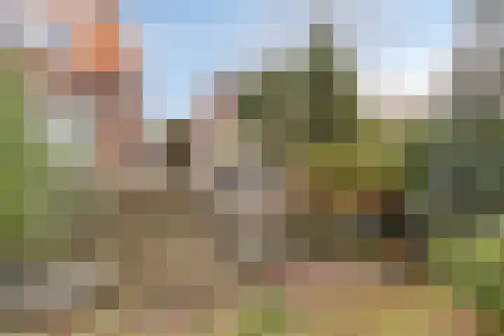 Kerkring 15 's-Heer Abtskerke thumbnail 35