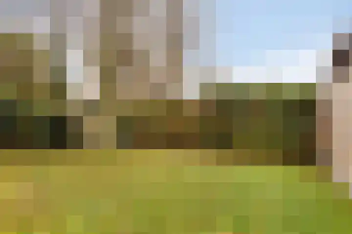 Kerkring 15 's-Heer Abtskerke thumbnail 36