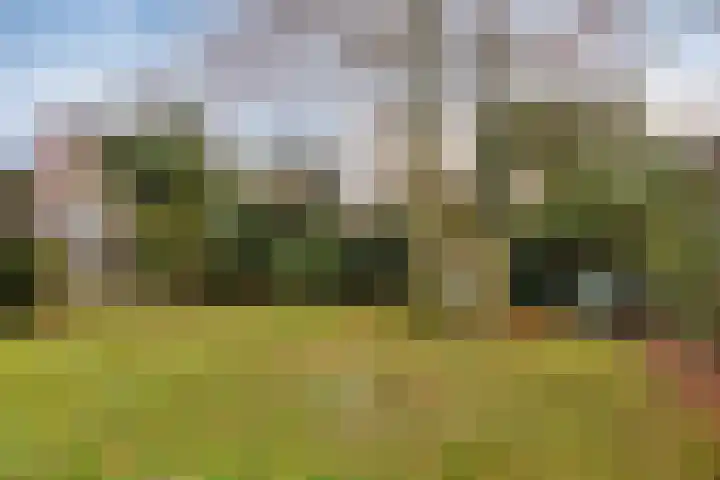 Kerkring 15 's-Heer Abtskerke thumbnail 37