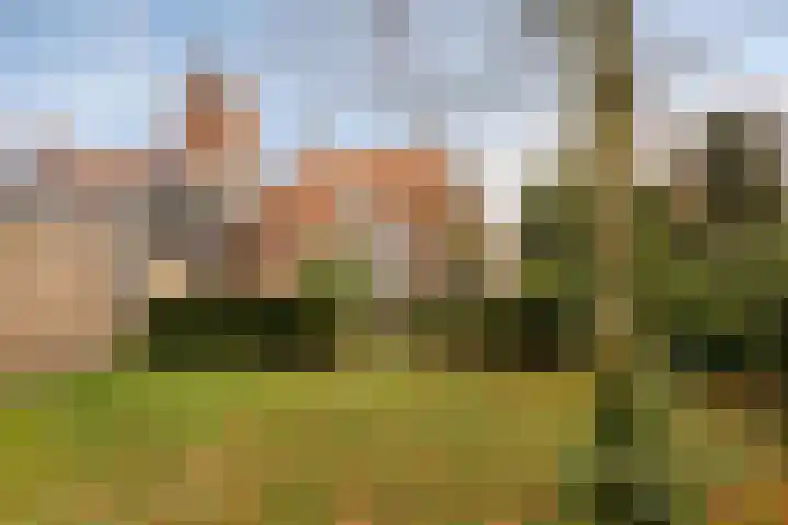 Kerkring 15 's-Heer Abtskerke thumbnail 38