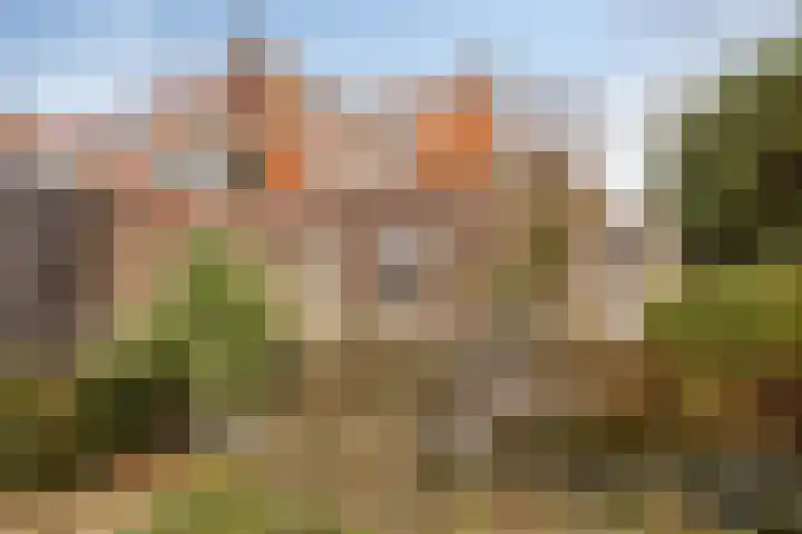 Kerkring 15 's-Heer Abtskerke thumbnail 39