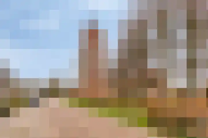 Kerkring 15 's-Heer Abtskerke thumbnail 44