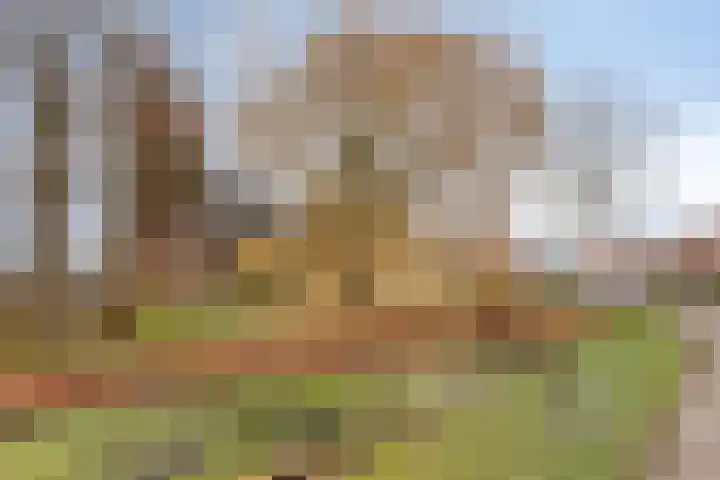 Kerkring 15 's-Heer Abtskerke thumbnail 45