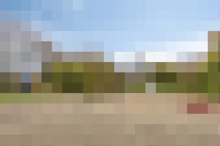 Kerkring 15 's-Heer Abtskerke thumbnail 47
