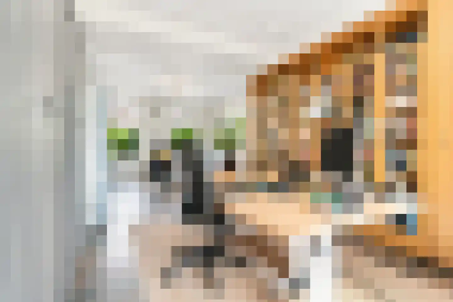 Kerkring 26 Fijnaart thumbnail 10