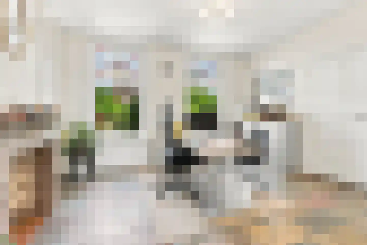 Kerkring 26 Fijnaart thumbnail 11