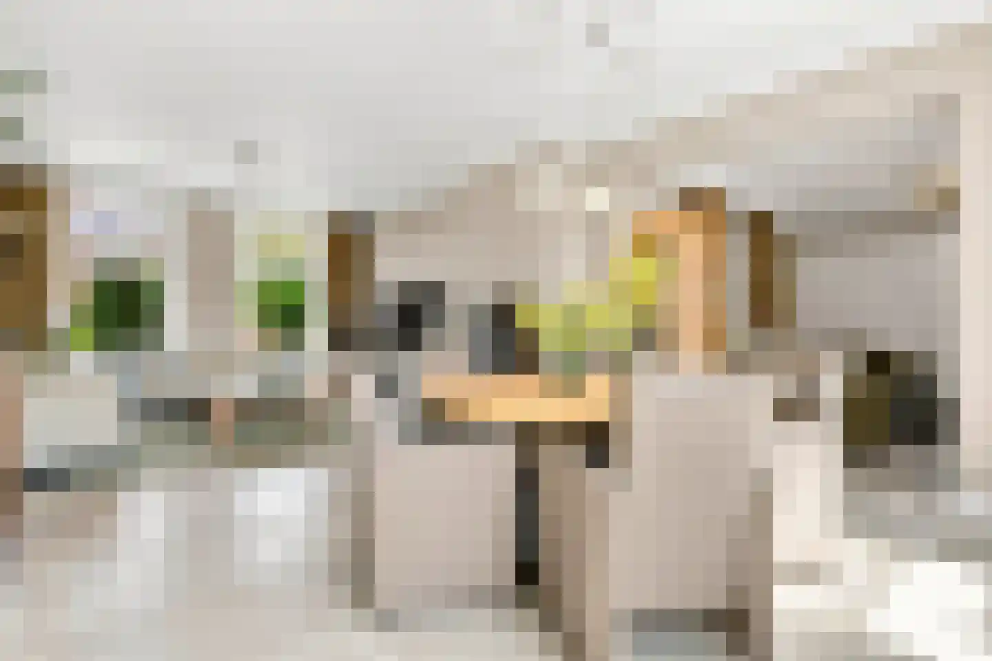 Kerkring 26 Fijnaart thumbnail 17